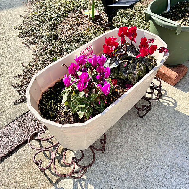 Junさんの実例写真