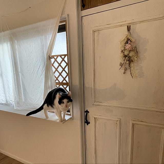 harukaさんの実例写真