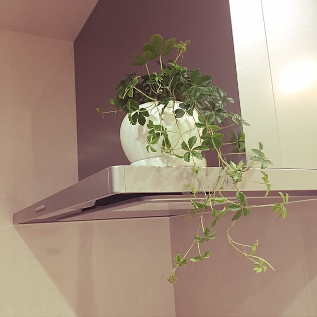 comoさんの実例写真