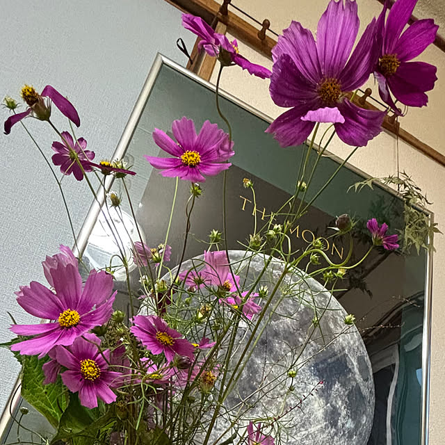 syutmmさんの部屋