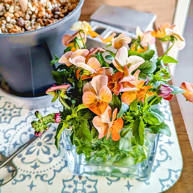 mi-saさんの部屋