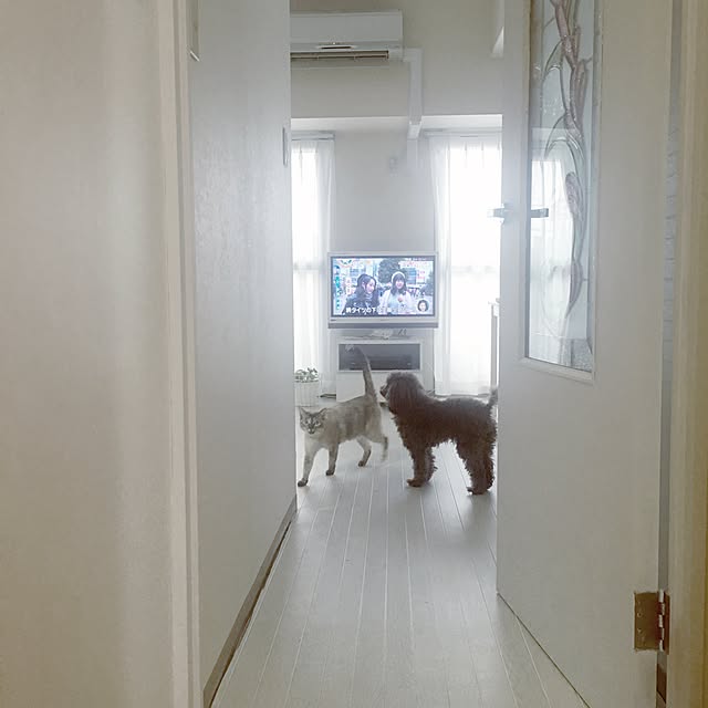 noelさんの実例写真