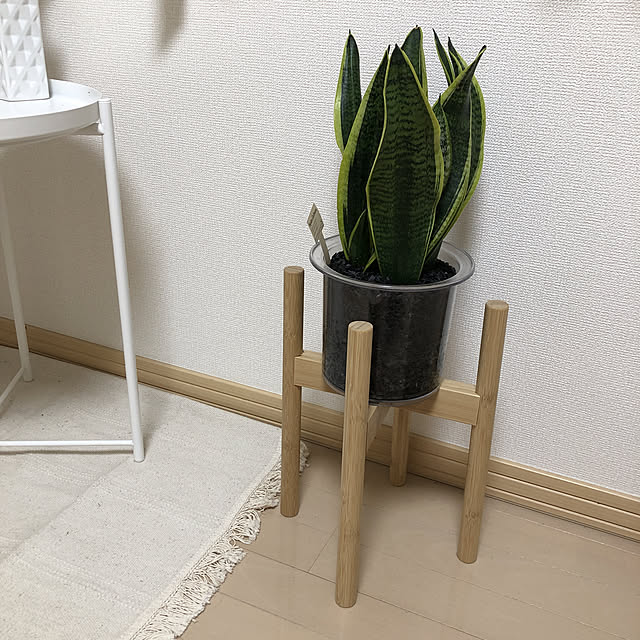 akanekoさんの実例写真