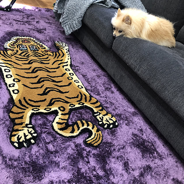 t.k.mさんの実例写真