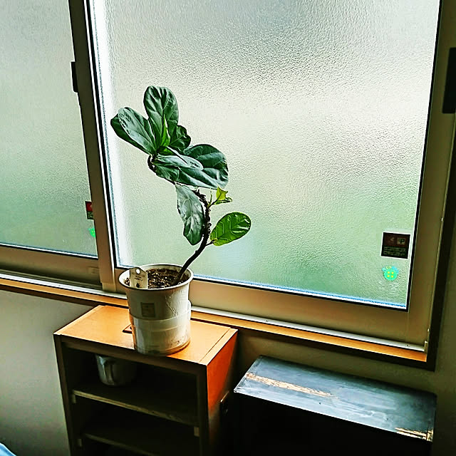 akiradesuさんの実例写真