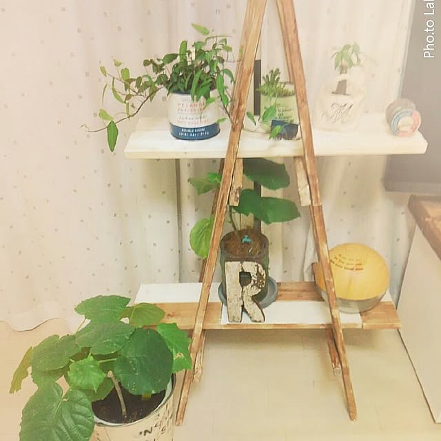 chiさんの実例写真