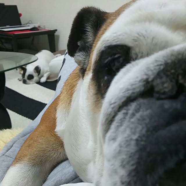 AandPさんの実例写真