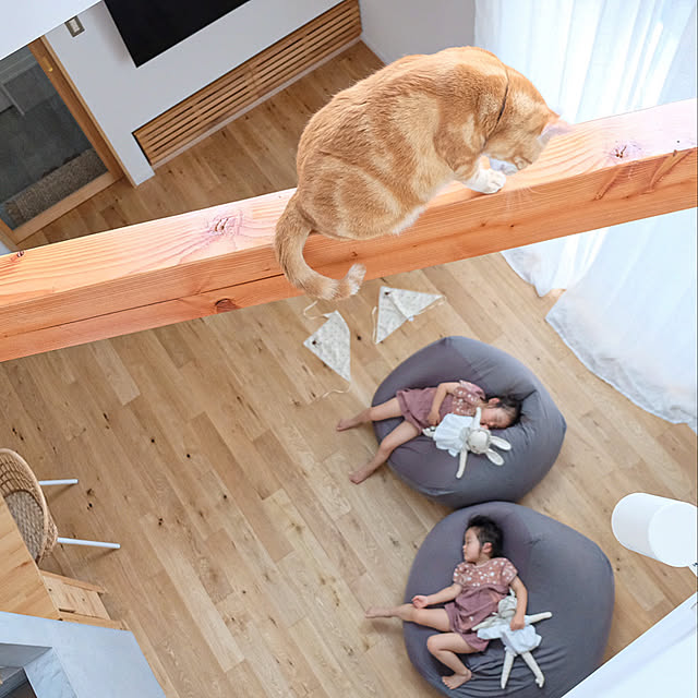 shiiiさんの実例写真