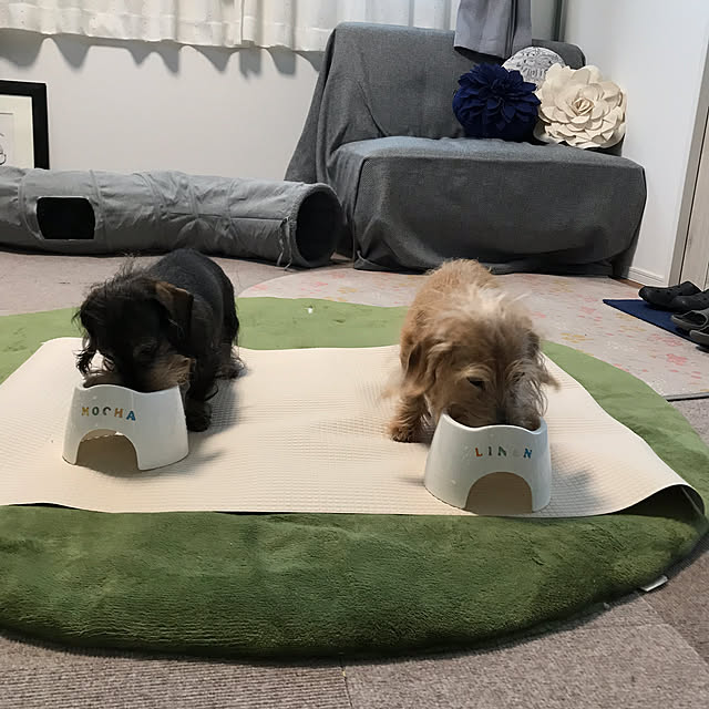 chocococoaさんの実例写真