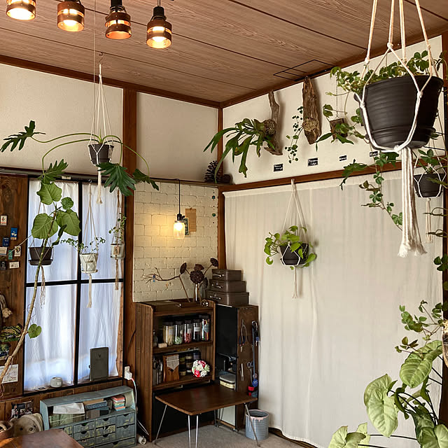 sleeping-dropさんの部屋