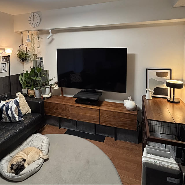 taigonさんの実例写真