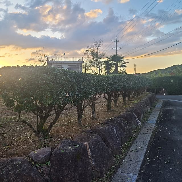 Rubiconさんの部屋