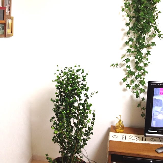 kinoさんの実例写真