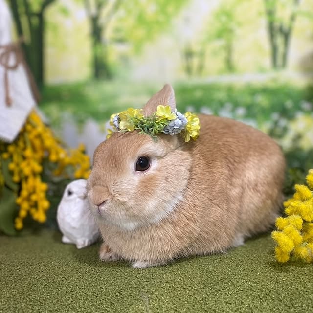 aiさんの部屋