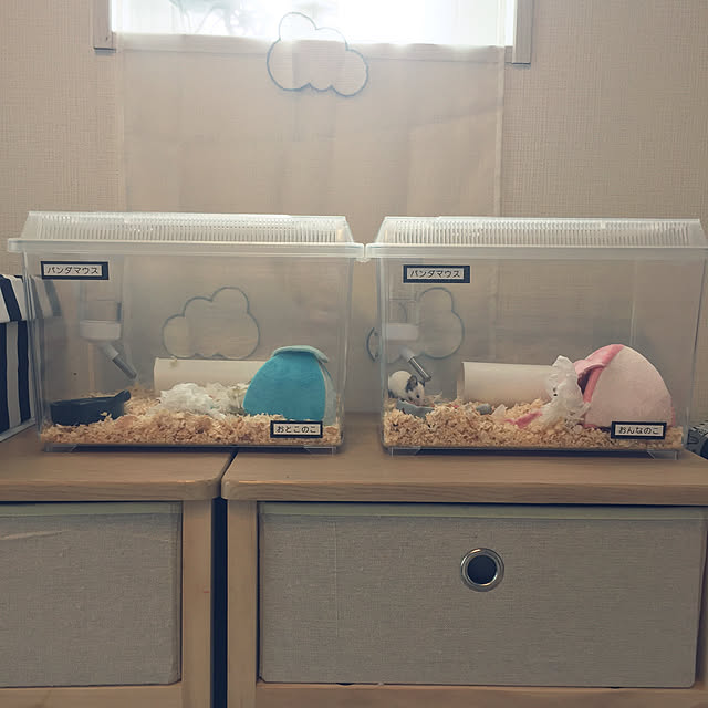 kedamaya3さんの実例写真
