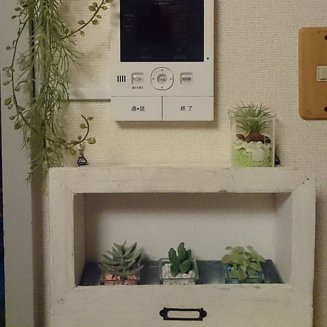 実例写真