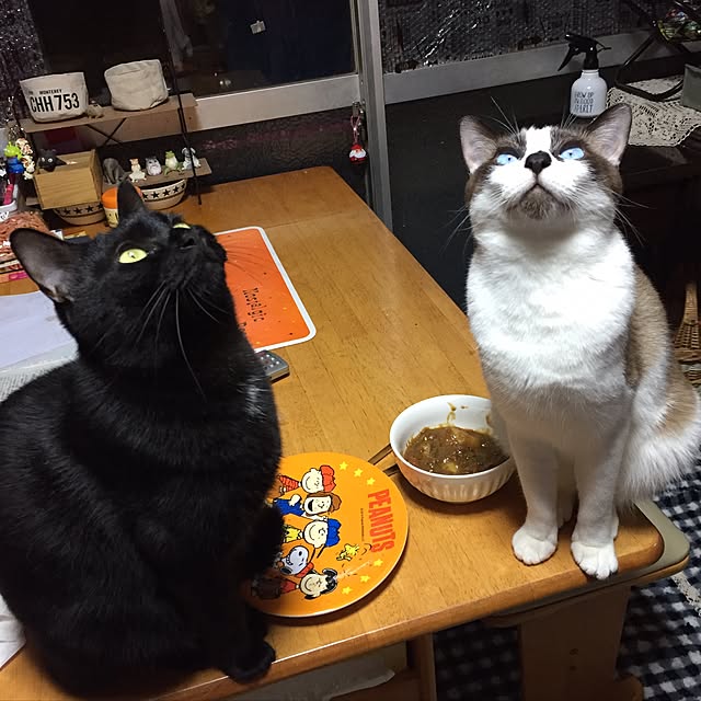 vivienne.coco-keiさんの実例写真