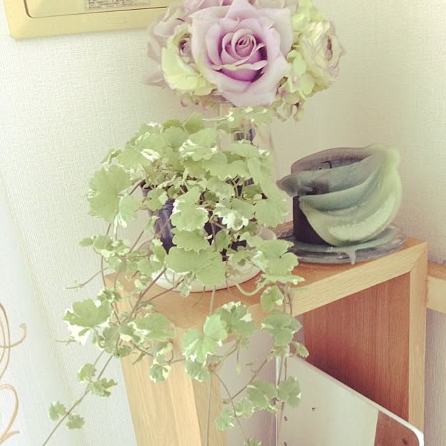 nachuraさんの実例写真