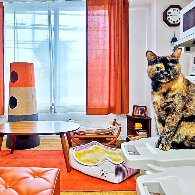 hirukumaさんの実例写真
