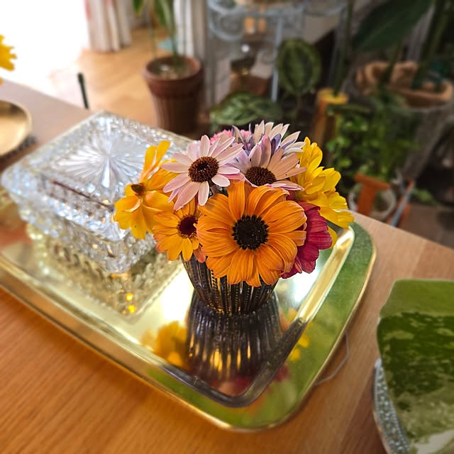 nonbiri_house_さんの部屋