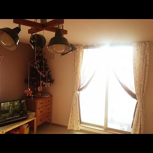 Hitomiさんの実例写真