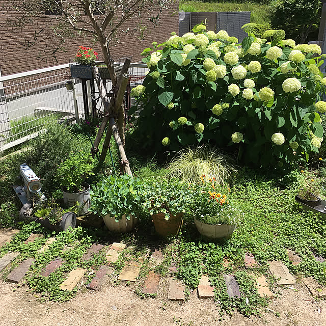 yukieさんの実例写真