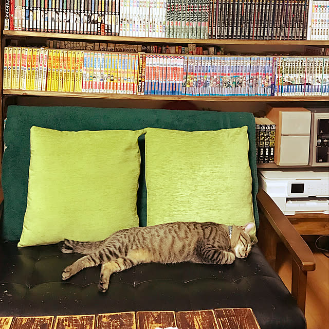 mikan161さんの実例写真