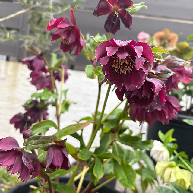 thirorunさんの部屋