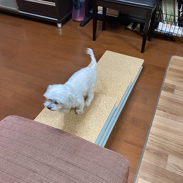Robin27さんの実例写真