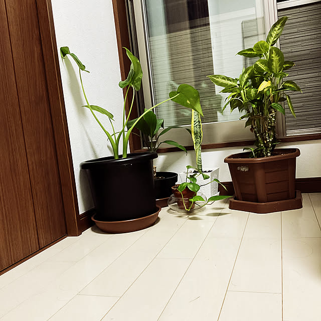 junkoさんの実例写真