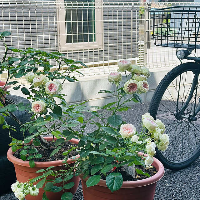 Hさんの部屋