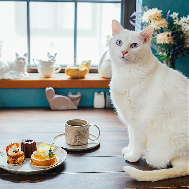 yuiiiさんの実例写真