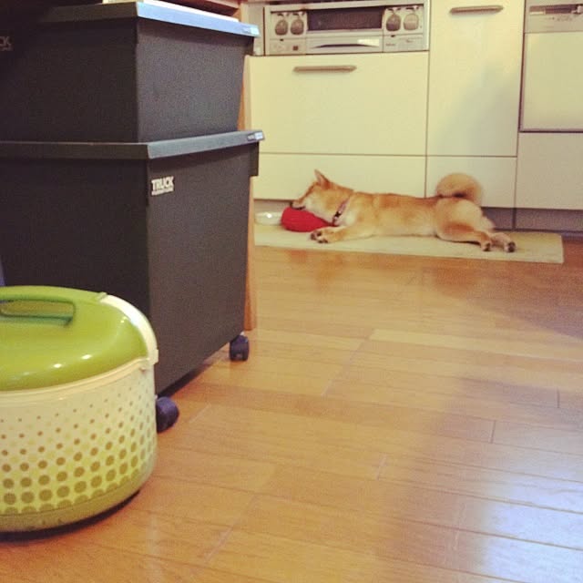 botanさんの実例写真