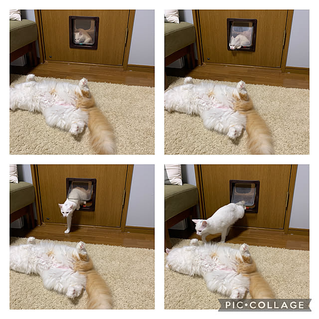 keiさんの実例写真