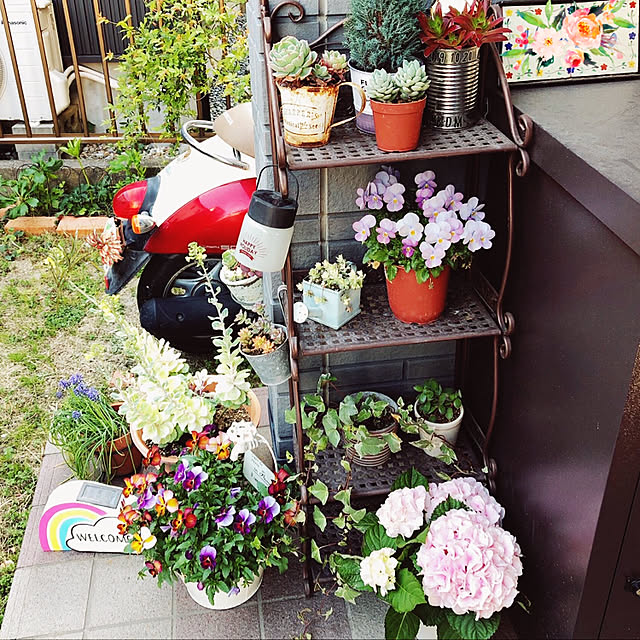 naon_aoさんの実例写真