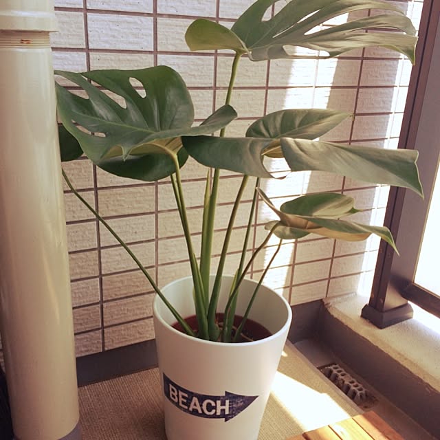 Reeさんの実例写真