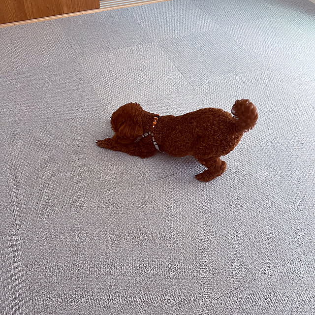 nanさんの実例写真