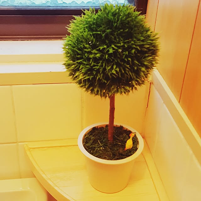 rhuさんの実例写真