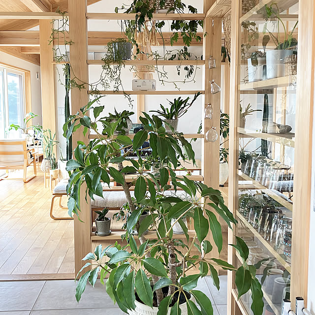 hira_muji_mihiさんの実例写真