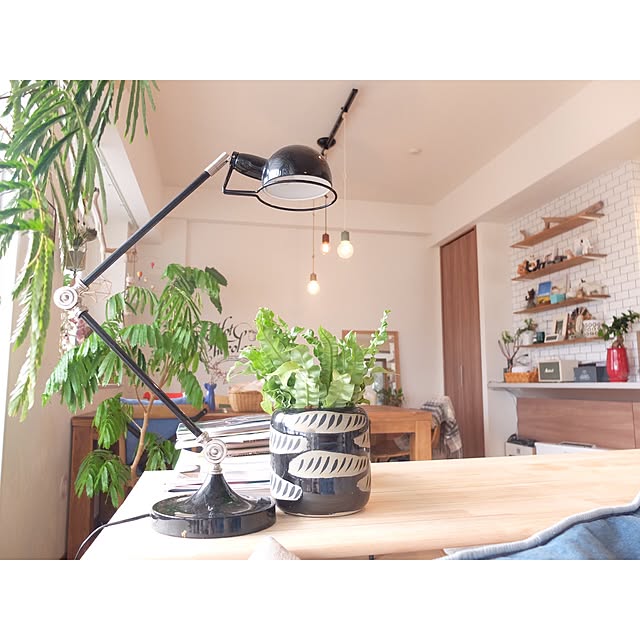 hara0707さんの実例写真