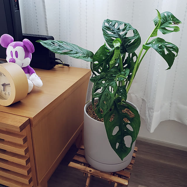 Ayaさんの実例写真