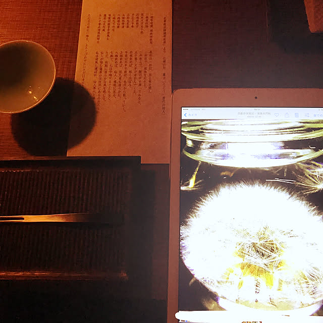 neko-2.2.2runmuさんの実例写真