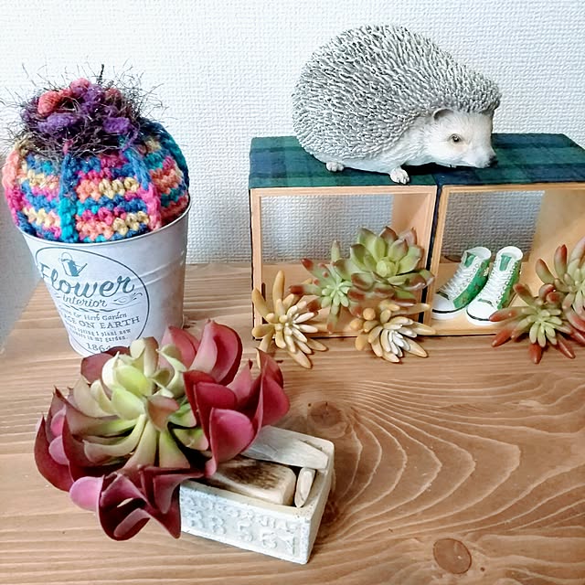 0c.c0さんの実例写真