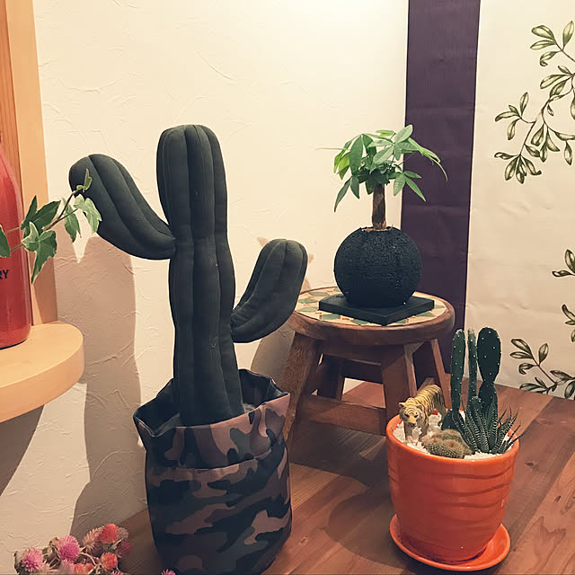 実例写真