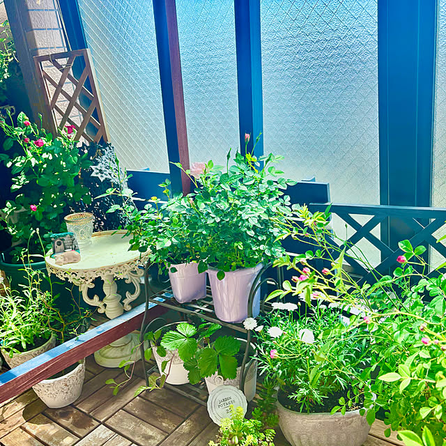 naokoさんの部屋