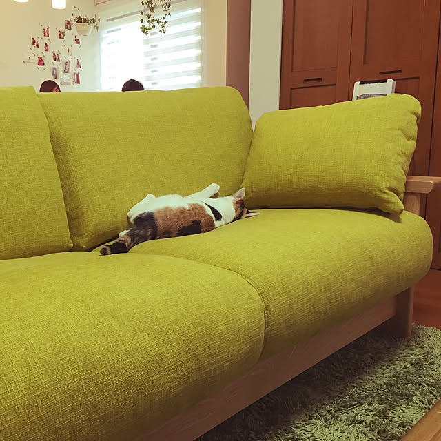 beruさんの実例写真
