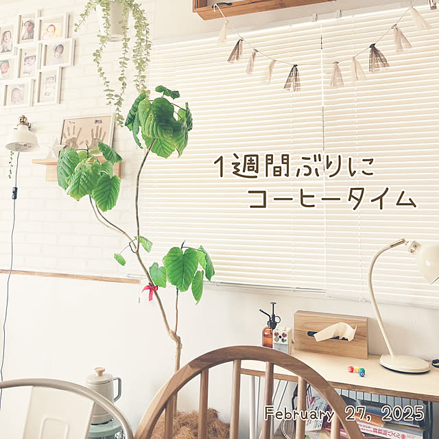 hirariさんの実例写真