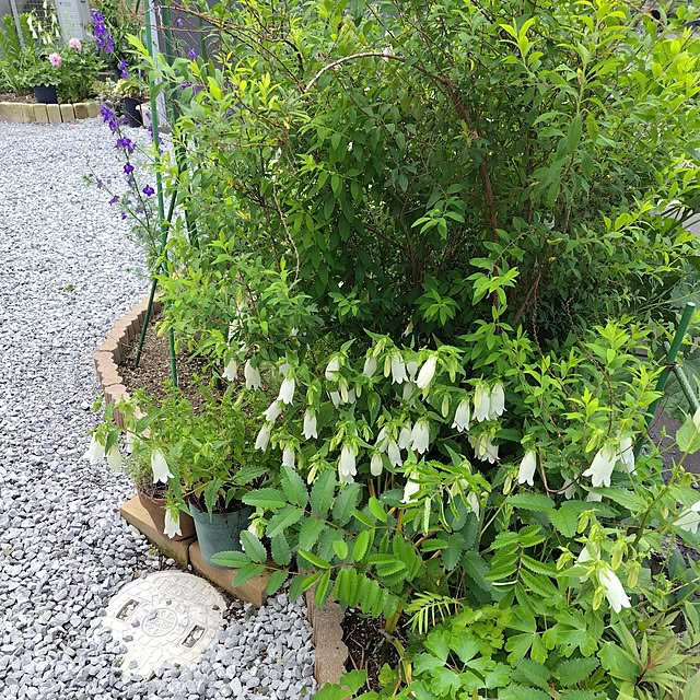 mutsuさんの部屋