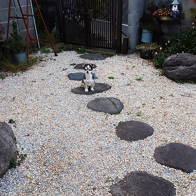 mizuさんの実例写真