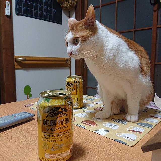 mugi77327732さんの実例写真